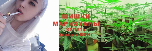 mdma Богородицк